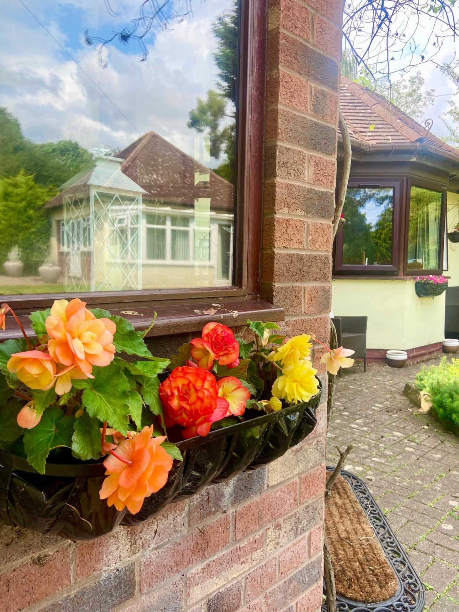 The Cottage On The Common Tenbury Ngoại thất bức ảnh